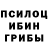 Галлюциногенные грибы MAGIC MUSHROOMS envify