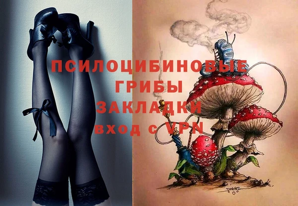 spice Абаза
