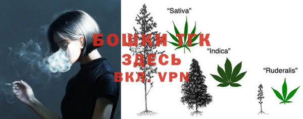 spice Абаза