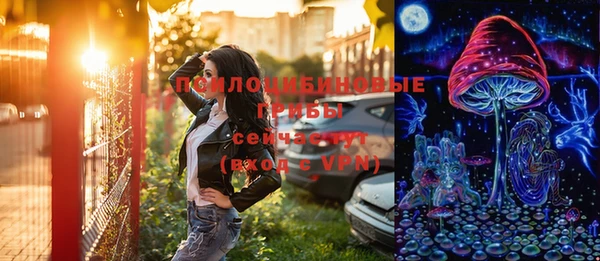 spice Абаза