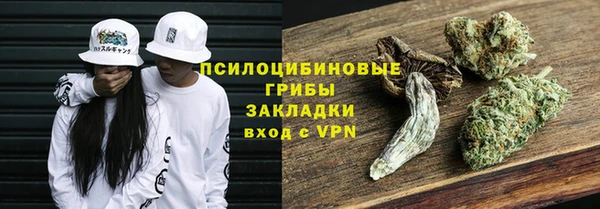 шишки Абинск