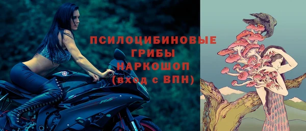шишки Абинск